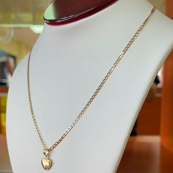 10K Gold Chain with Heart Charm N2